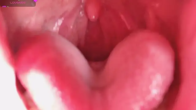 LT-333 online show from 02/05/26, 08:24