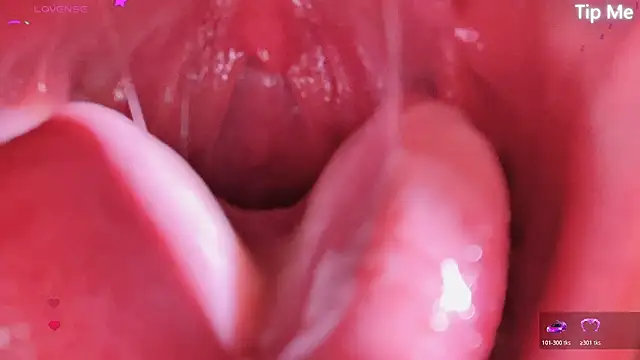 LT-333 online show from 04/17/26, 05:05