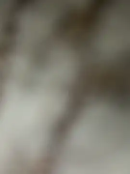 Chrisd3195 online show from 02/22/26, 06:02