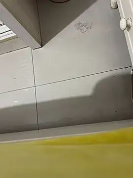 molihua 7788 online show from 02/28/26, 05:58