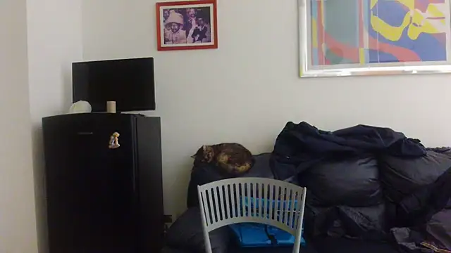 AMIRDIB2025 online show from 04/18/26, 12:25