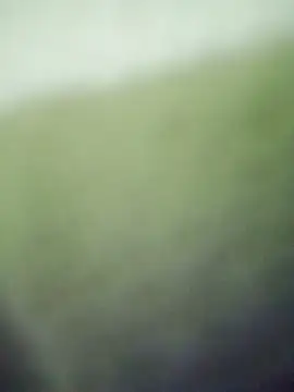 HKOOOH80 online show from 11/27/25, 11:40