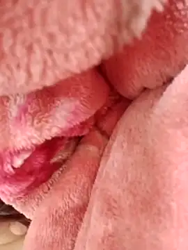 Snapshot of eujaamii chatting on 12/02/25, 02:56 eujaamii online show from 12/02/25, 02:56