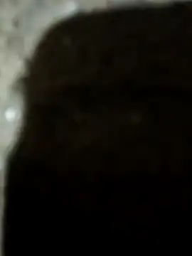 Karisma ji online show from 01/10/26, 03:25