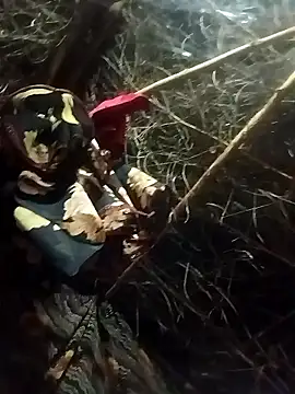 Karisma ji online show from 01/19/26, 02:43