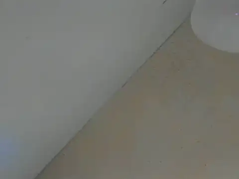 SweeXioji online show from 03/02/26, 06:59