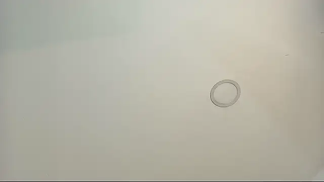 tamara walter online show from 02/13/26, 03:52