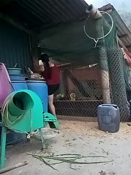 sary-hot2x online show from 04/15/26, 11:28