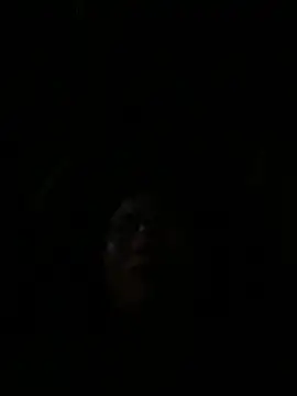 vero-obc online show from 04/26/26, 12:52