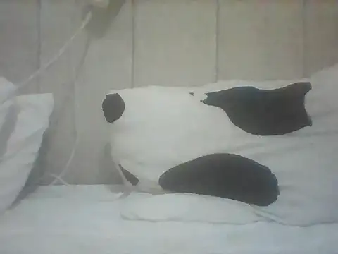 Snapshot of Thand03 chatting on 05/26/26, 03:57 Thand03 online show from 05/26/26, 03:57