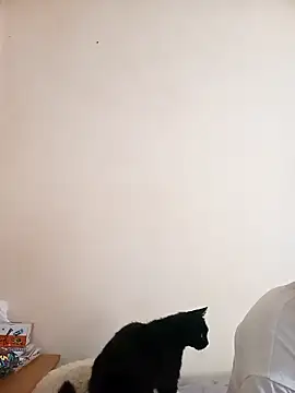 Calypso-Loove online show from 05/17/26, 06:22