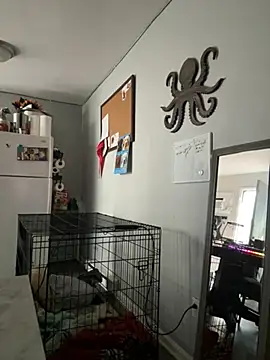 alluringpixie online show from 03/22/26, 02:09