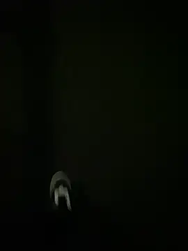 hairylittledic online show from 05/31/26, 02:24