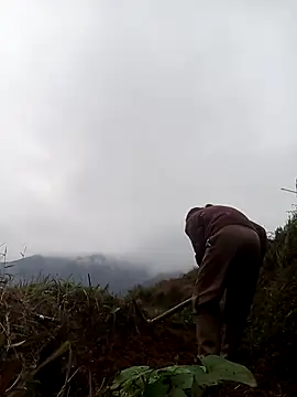 mon-monk online show from 12/17/25, 01:11