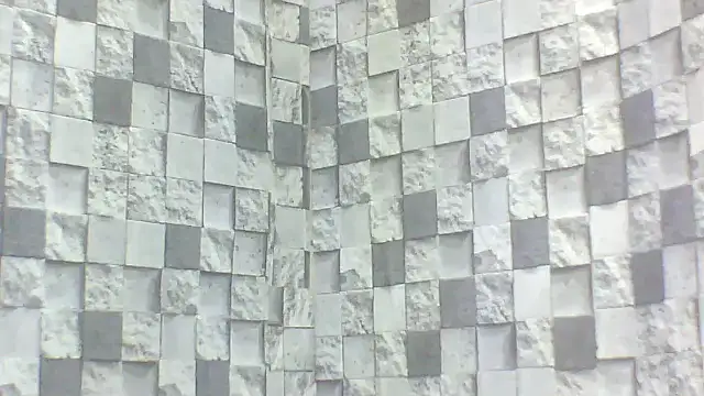 Exotic indian95 online show from 04/16/26, 05:03