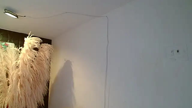 paisita1609 online show from 03/05/26, 08:38