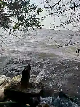 Snapshot of Andreskelly chatting on 02/16/26, 01:51 Andreskelly online show from 02/16/26, 01:51