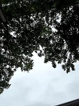 cmvoo online show from 12/21/25, 06:53