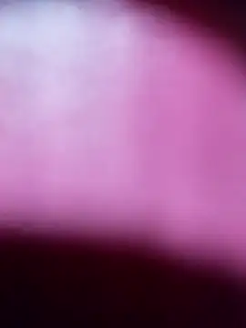 Myrelahot online show from 03/21/26, 12:37