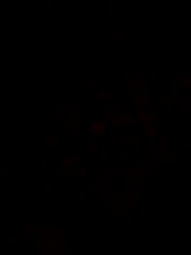 1Aya1Mustafa online show from 03/30/26, 02:07