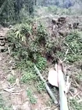 neko-nancy online show from 02/26/26, 07:07