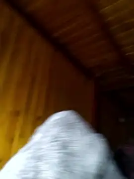 neko-nancy online show from 02/28/26, 02:29