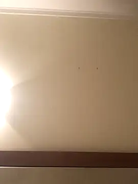 Palinchik online show from 01/07/26, 09:39