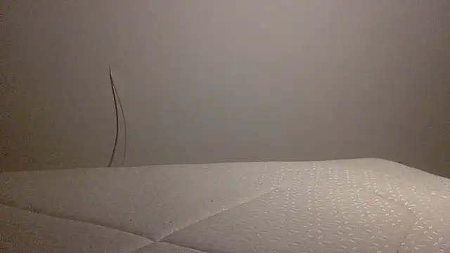 Palinchik online show from 02/01/26, 10:41