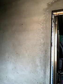 Pege-nii online show from 12/19/25, 06:20