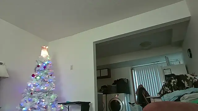 Snapshot of dixielover1229 chatting on 12/17/25, 03:07 dixielover1229 online show from 12/17/25, 03:07