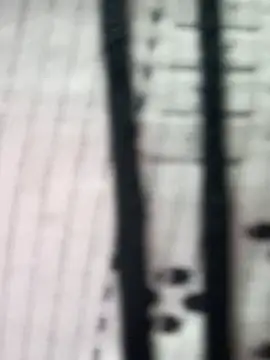 teena-11 online show from 03/23/26, 02:21