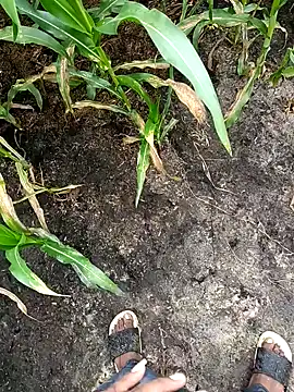 loki-king-143 online show from 02/24/26, 03:59