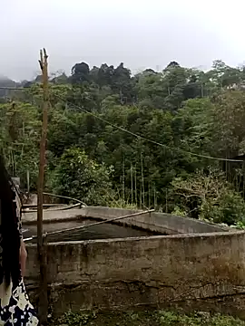  CTMay 77 online show from 04/01/26, 04:02