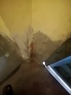 Snapshot of ahannaskar228 chatting on 12/22/25, 09:17 ahannaskar228 online show from 12/22/25, 09:17