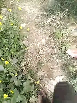 mohit08desi online show from 01/19/26, 09:24