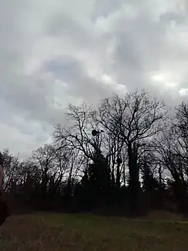 Sacha Scorp online show from 02/07/26, 02:21