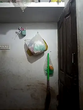 tamilsaisree online show from 02/17/26, 05:26