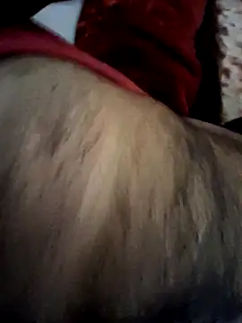 aman4404 online show from 02/20/26, 09:00