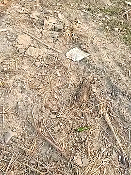 Snapshot of sexloverg7 chatting on 12/15/25, 10:41 sexloverg7 online show from 12/15/25, 10:41