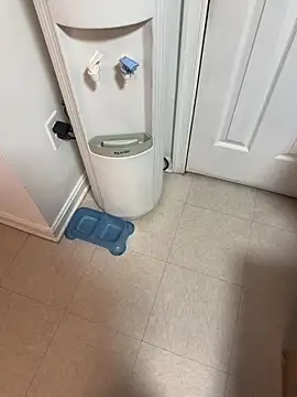 Snapshot of tigre6911 chatting on 12/16/25, 09:36 tigre6911 online show from 12/16/25, 09:36