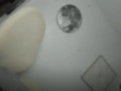 mxshemale ladyboy online show from 03/26/26, 05:29