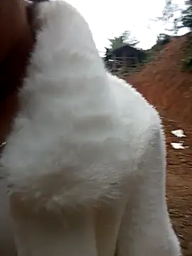 Girl cutee online show from 02/01/26, 09:19