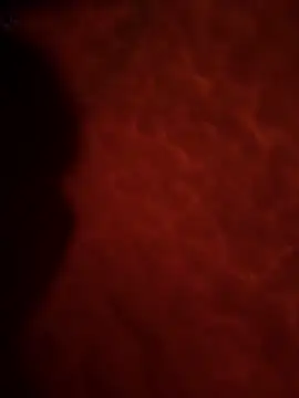 Snapshot of Sweetley chatting on 02/02/26, 03:22 Sweetley online show from 02/02/26, 03:22