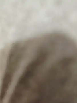 Snapshot of Indian_groupxxx chatting on 12/16/25, 04:56 Indian groupxxx online show from 12/16/25, 04:56