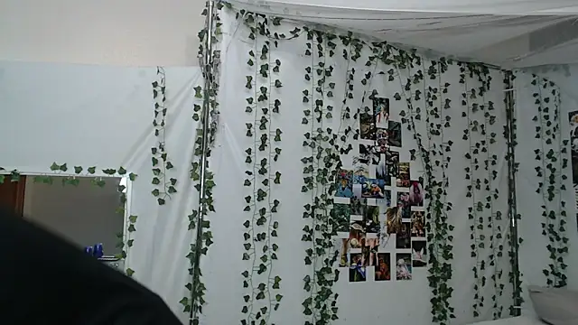 DeerMiracle online show from 01/09/26, 04:04