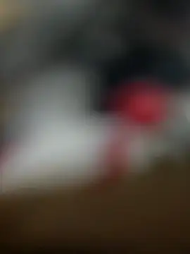 Sammyboii006 online show from 02/11/26, 06:29