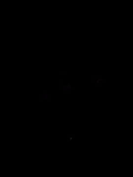 nimmi188 online show from 03/10/26, 07:30