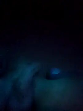 Snapshot of norvisito chatting on 12/19/25, 06:20 norvisito online show from 12/19/25, 06:20