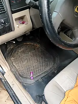 Snapshot of PIGHIGHDIRTY_p0 chatting on 02/20/26, 09:04 PIGHIGHDIRTY p0 online show from 02/20/26, 09:04