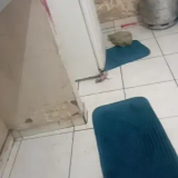 Snapshot of xxbucetudaxxx chatting on 12/20/25, 11:17 xxbucetudaxxx online show from 12/20/25, 11:17